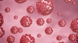 norovirus-e-hantavirus:-entenda-diferencas-e-qual-preocupa-mais