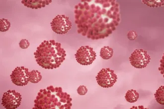 norovirus-e-hantavirus:-entenda-diferencas-e-qual-preocupa-mais