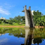 laudo-da-amma-determina-corte-de-48-arvores-no-lago-das-rosas;-delegado-ambiental-ve-especimes-‘comprometidos’