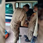 trabalhador-rural-leva-chifrada-de-touro-e-e-socorrido-em-estado-grave