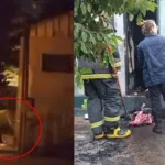 camera-mostra-mulher-ateando-fogo-em-banheiro-e-matando-morador-de-rua