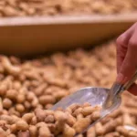 mais-proteina-que-o-ovo:-o-vegetal-que-pode-ajudar-seus-musculos-–-uol