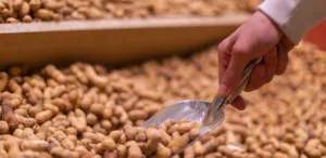 mais-proteina-que-o-ovo:-o-vegetal-que-pode-ajudar-seus-musculos-–-uol