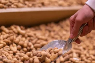mais-proteina-que-o-ovo:-o-vegetal-que-pode-ajudar-seus-musculos-–-uol