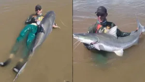 pescador-pega-‘tubarao-de-agua-doce’-de-quase-2-metros-no-rio-araguaia;-video