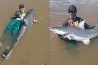 pescador-pega-‘tubarao-de-agua-doce’-de-quase-2-metros-no-rio-araguaia;-video