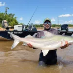 guia-de-pesca-fisga-piraiba-de-mais-de-2-metros-no-rio-araguaia