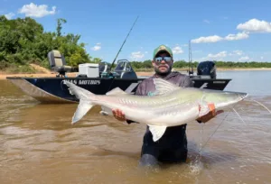 guia-de-pesca-fisga-piraiba-de-mais-de-2-metros-no-rio-araguaia
