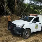 numero-de-vitimas-de-afogamento-cresce-em-goias