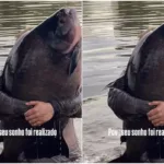 “monstro-dos-rios”:-pescador-captura-tambacu-de-41-kg-em-caldas-novas.-video