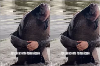 “monstro-dos-rios”:-pescador-captura-tambacu-de-41-kg-em-caldas-novas.-video