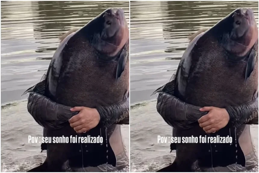“monstro-dos-rios”:-pescador-captura-tambacu-de-41-kg-em-caldas-novas.-video