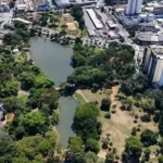 goiania:-justica-proibe-corte-de-arvores-no-lago-das-rosas-e-fixa-multa-de-ate-r$-500-mil
