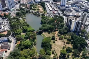 goiania:-justica-proibe-corte-de-arvores-no-lago-das-rosas-e-fixa-multa-de-ate-r$-500-mil