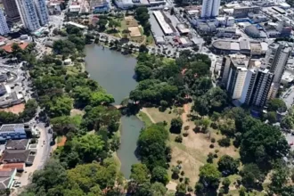 goiania:-justica-proibe-corte-de-arvores-no-lago-das-rosas-e-fixa-multa-de-ate-r$-500-mil