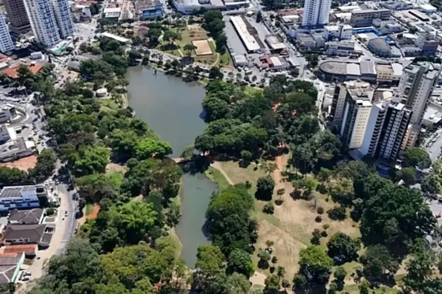 goiania:-justica-proibe-corte-de-arvores-no-lago-das-rosas-e-fixa-multa-de-ate-r$-500-mil