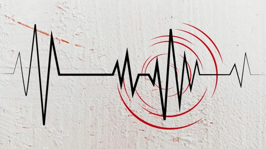 terremoto-de-magnitude-de-4,7-atinge-puerto-vallarta-com-epicentro-no-oceano-pacifico