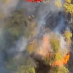 incendio-florestal-perto-de-varsovia-mobiliza-45-unidades-de-bombeiros-e-aeronaves-especializadas-contra-chamas