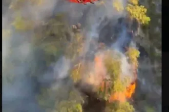 incendio-florestal-perto-de-varsovia-mobiliza-45-unidades-de-bombeiros-e-aeronaves-especializadas-contra-chamas