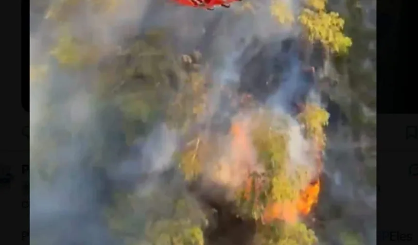 incendio-florestal-perto-de-varsovia-mobiliza-45-unidades-de-bombeiros-e-aeronaves-especializadas-contra-chamas