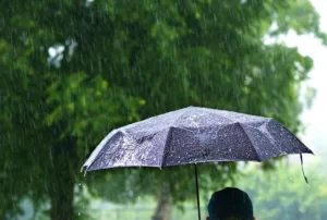 fim-de-semana-pode-ser-de-chuva-no-sul-e-em-parte-do-sudeste;-confira-a-previsao-para-todo-pais