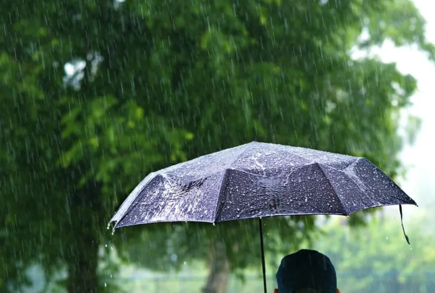 fim-de-semana-pode-ser-de-chuva-no-sul-e-em-parte-do-sudeste;-confira-a-previsao-para-todo-pais
