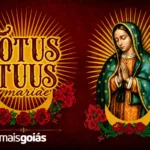 mais-goias-transmite-totus-tuus-2026-neste-sabado-(30);-assista-ao-vivo