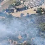 incendio-atinge-area-rural-de-domus-de-maria-e-leva-corpo-florestal-a-usar-helicopteros-em-sardinha