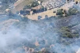 incendio-atinge-area-rural-de-domus-de-maria-e-leva-corpo-florestal-a-usar-helicopteros-em-sardinha