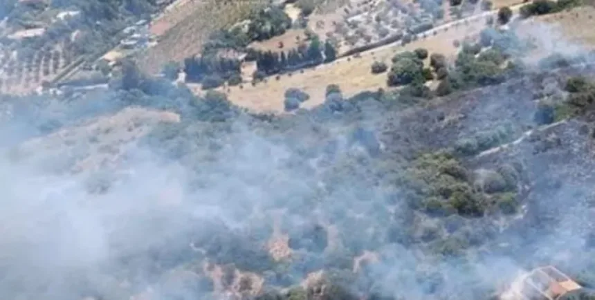 incendio-atinge-area-rural-de-domus-de-maria-e-leva-corpo-florestal-a-usar-helicopteros-em-sardinha