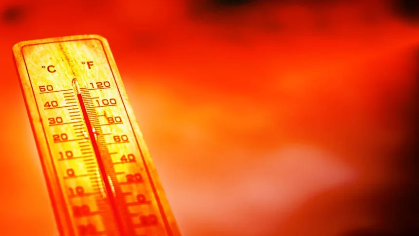 recorde-de-calor-global-deve-ser-superado-entre-2026-e-2030,-aponta-relatorio-da-onu