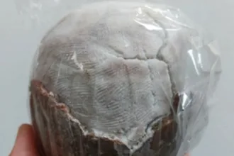 sal-raro-das-filipinas-volta-a-producao-depois-de-seculos-a-beira-da-extincao