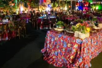 arraia-do-bem-2026-libera-venda-de-ingressos-a-partir-desta-terca-em-goiania