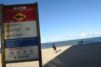 crianca-e-mordida-por-tubarao-na-praia-de-piedade,-em-jaboatao-dos-guararapes-–-folha-pe