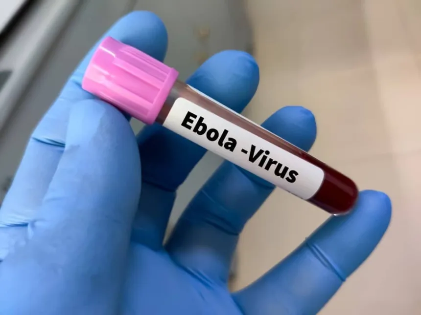 alerta-internacional:-cepa-bundibugyo-do-ebola-desafia-resposta-global-com-282-casos-no-congo-e-uganda