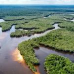 lidar-revela-extensa-metropole-de-3.000-anos-na-amazonia-equatoriana-com-urbanismo-unico