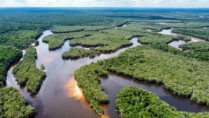 lidar-revela-extensa-metropole-de-3.000-anos-na-amazonia-equatoriana-com-urbanismo-unico
