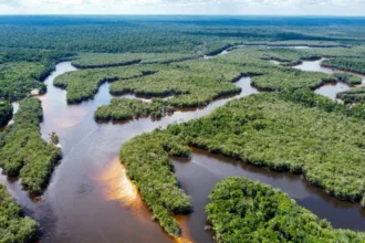 lidar-revela-extensa-metropole-de-3.000-anos-na-amazonia-equatoriana-com-urbanismo-unico