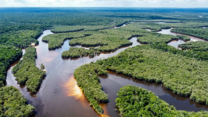 lidar-revela-extensa-metropole-de-3.000-anos-na-amazonia-equatoriana-com-urbanismo-unico