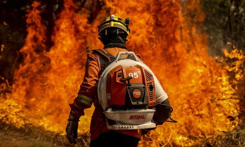 probabilidade-de-el-nino-entre-junho-e-agosto-e-de-80%;-veja-possiveis-consequencias-em-goias