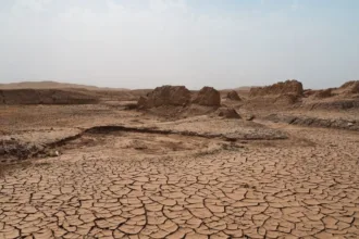 alerta-da-onu-sobre-el-nino-reforca-necessidade-de-acoes-contra-secas-e-chuvas-intensas