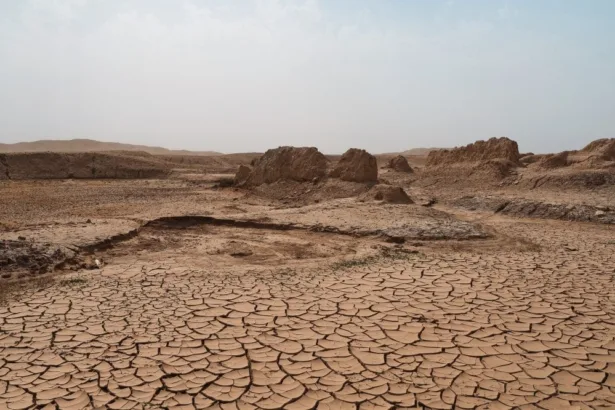 alerta-da-onu-sobre-el-nino-reforca-necessidade-de-acoes-contra-secas-e-chuvas-intensas