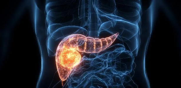 lucia-helena:-boa-noticia:-estamos-no-caminho-para-tornar-o-cancer-de-pancreas-curavel-–-uol