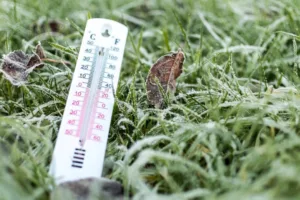 inmet-emite-alerta-amarelo-para-queda-de-temperatura-em-14-estados-ate-sabado