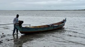 ministerio-da-pesca-e-aquicultura-alerta-para-golpes-com-carteirinha-de-pescador-via-whatsapp