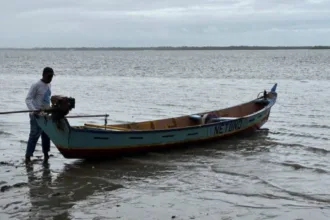ministerio-da-pesca-e-aquicultura-alerta-para-golpes-com-carteirinha-de-pescador-via-whatsapp