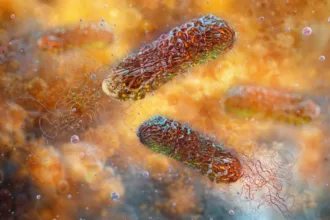 pseudomonas-aeruginosa-leva-anvisa-a-recolher-lote-especifico-da-agua-mineral-crystal