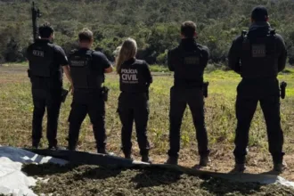 policia-civil-descobre-plantio-de-20-mil-pes-de-maconha-no-norte-de-minas-–-estado-de-minas