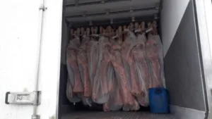 go:-caminhoneiro-flagrado-com-r$-37-mi-em-cocaina-e-condenado-a-10-anos-de-prisao