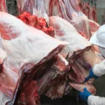 veto-da-uniao-europeia-a-carne-brasileira-acende-alerta-em-goias;-veja-o-que-diz-secretaria-de-agricultura-e-pecuaria